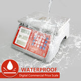 Camry Commercial Price Computing Scale 66lb Waterproof Food Meat Weighing Scale