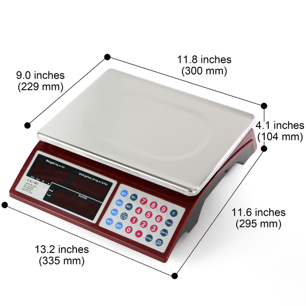 Electronic Weighing Scale Digital Weigh Computing Scale - China Electronic  Price Scale, Digital Scale