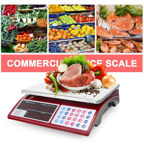 Food Scale, 22lb Digital Kitchen Stainless Steel Scale Weight Grams an –  CAMRY SCALE STORE