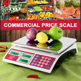 CAMRY Commercial Price Scale 66lb for Food Meat Produce with Backlight Stainless Steel Platform