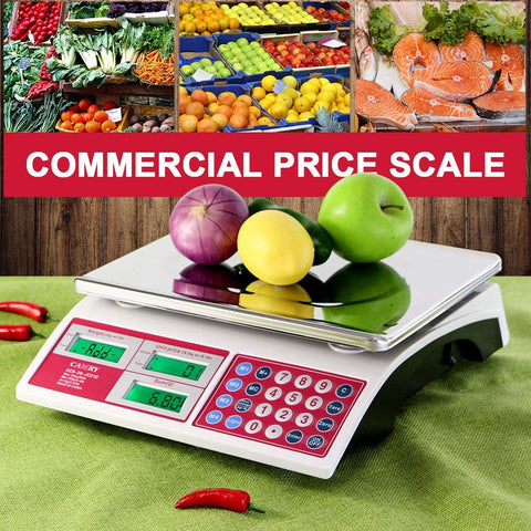 CAMRY Waterproof Commercial Food Scale IPX7 66lb / 30kg Digital Price  Computing Meat Produce Weight Scale with White Backlight LCD for Farmers  Market